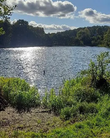 Zapach Lasu Nad Jeziorem Dağ evi