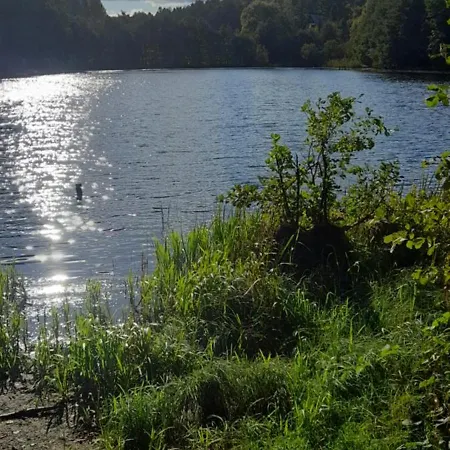 Chalet Zapach Lasu Nad Jeziorem *