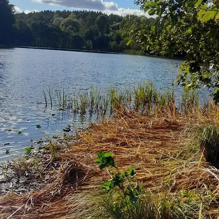 Zapach Lasu Nad Jeziorem Schaplitz