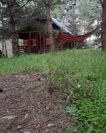 Zapach Lasu Nad Jeziorem * Schaplitz