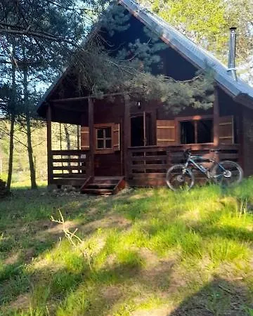 Zapach Lasu Nad Jeziorem *