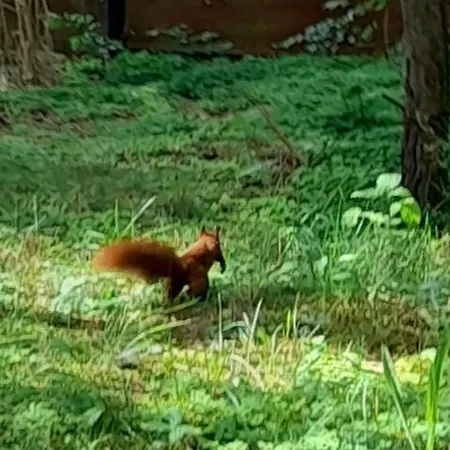 Zapach Lasu Nad Jeziorem Dağ evi