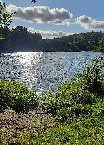 Zapach Lasu Nad Jeziorem Horská chata