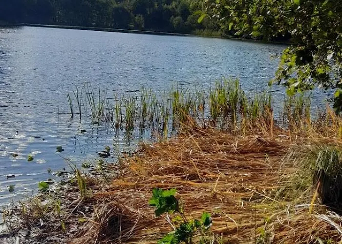 Zapach Lasu Nad Jeziorem Schaplitz