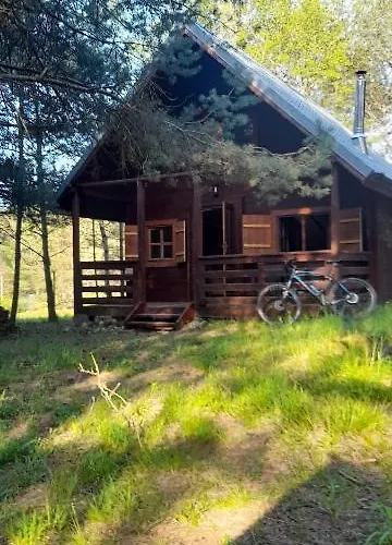 Zapach Lasu Nad Jeziorem *